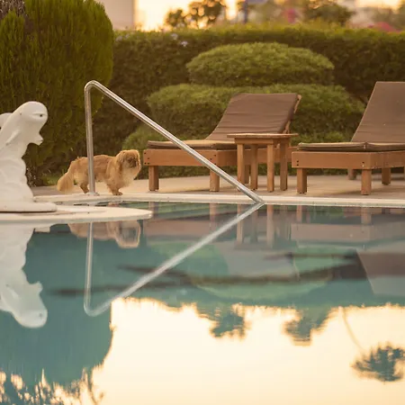 Golden Moon Hotel