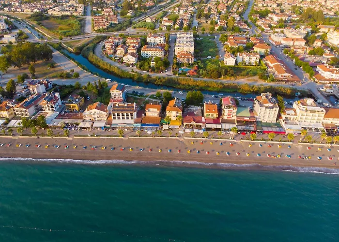 Golden Moon フェティエ