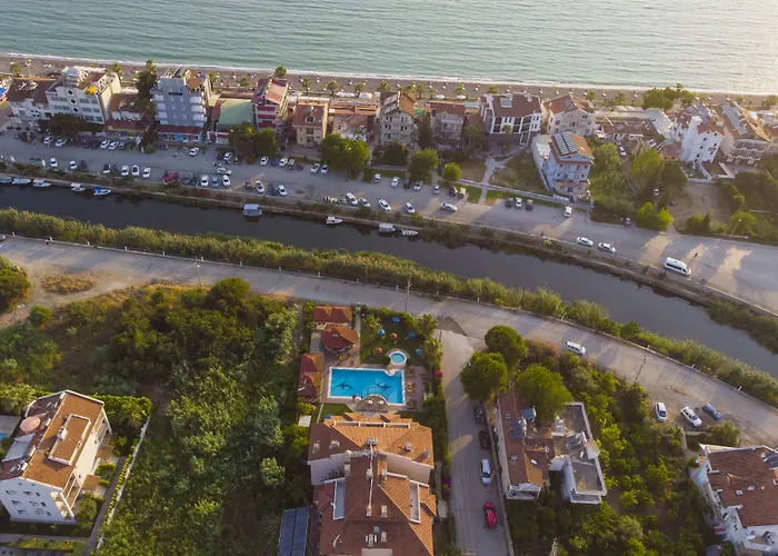 Golden Moon フェティエ