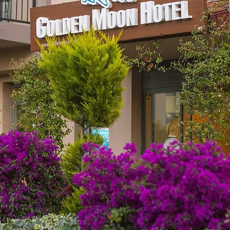 Golden Moon 3*