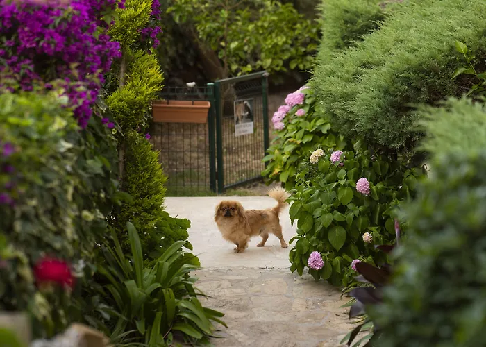 Hotell Golden Moon Fethiye