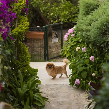 Hotel Golden Moon Fethiye